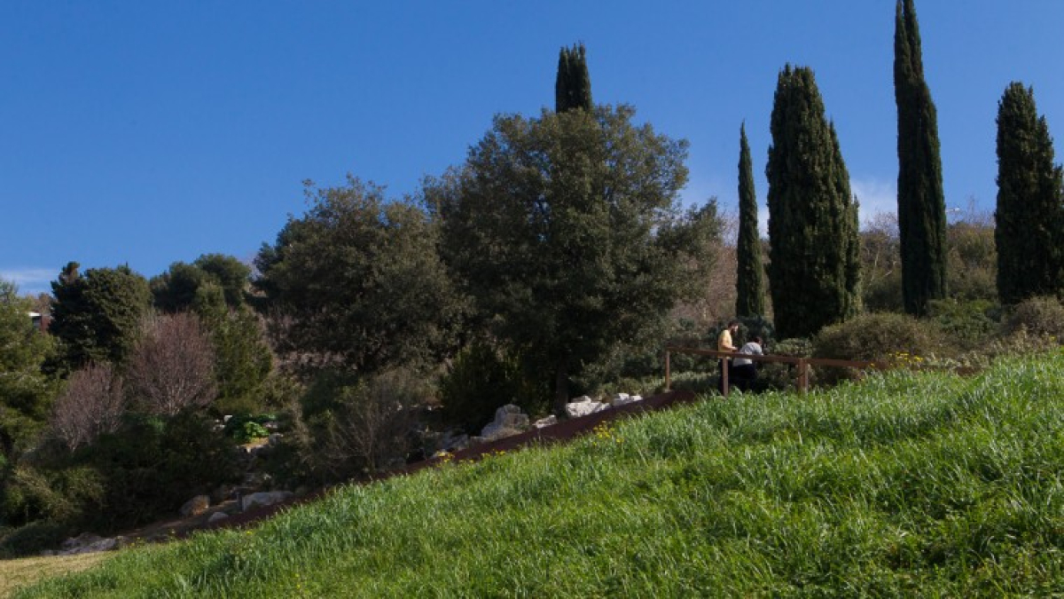 Volunteers Square