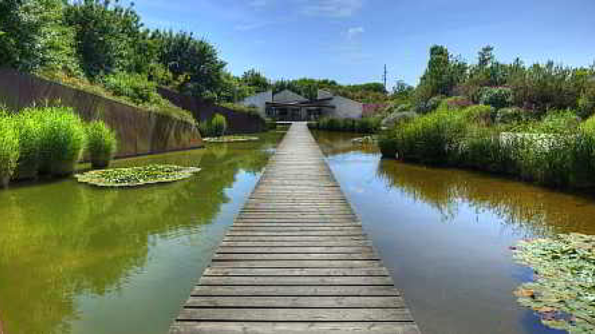 Lake Area