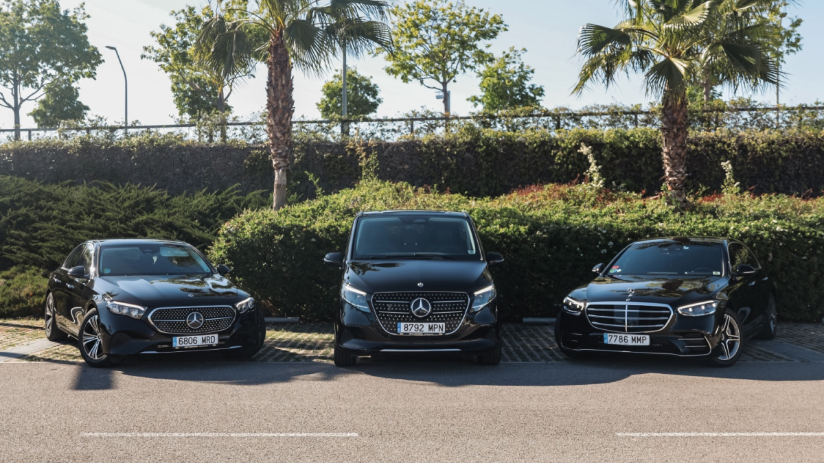 Grup Limousines