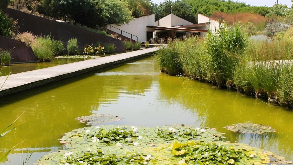 Jardí Botànic