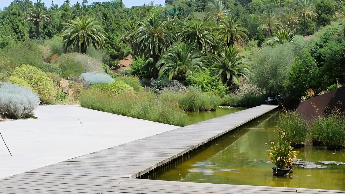 Jardí Botànic