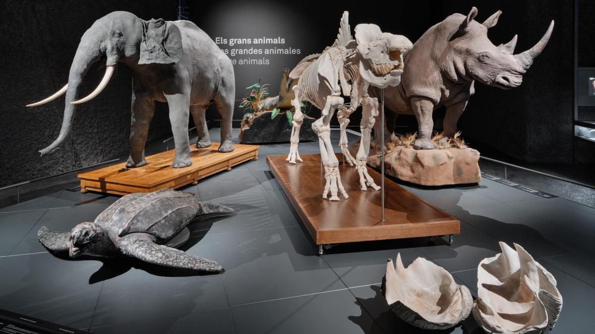 Museum of Natural Sciences of Barcelona