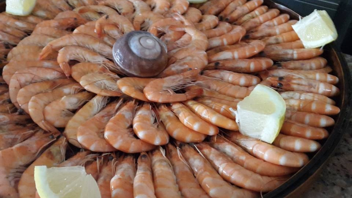 Salsaparrilha Catering