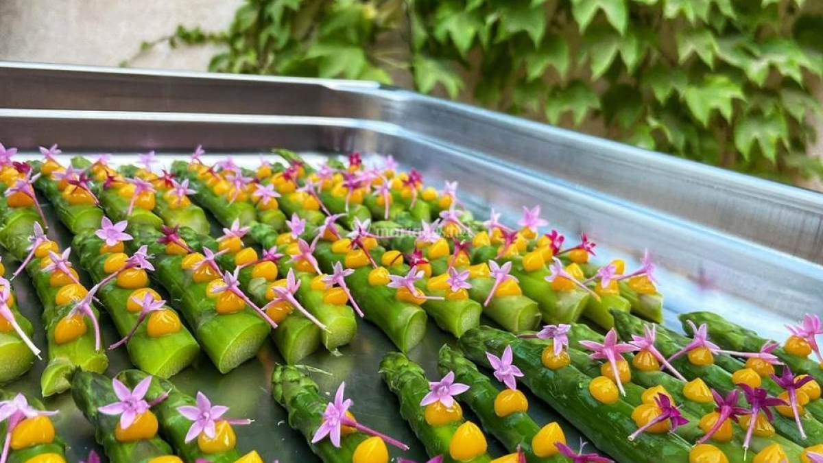 Morisset Riviera Traiteur by Le Figuier de Saint Esprit