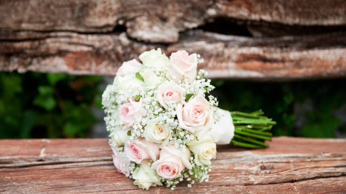 El Racó dels teus Somnis