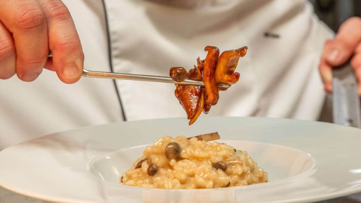 VIP Executive Art's Hotel