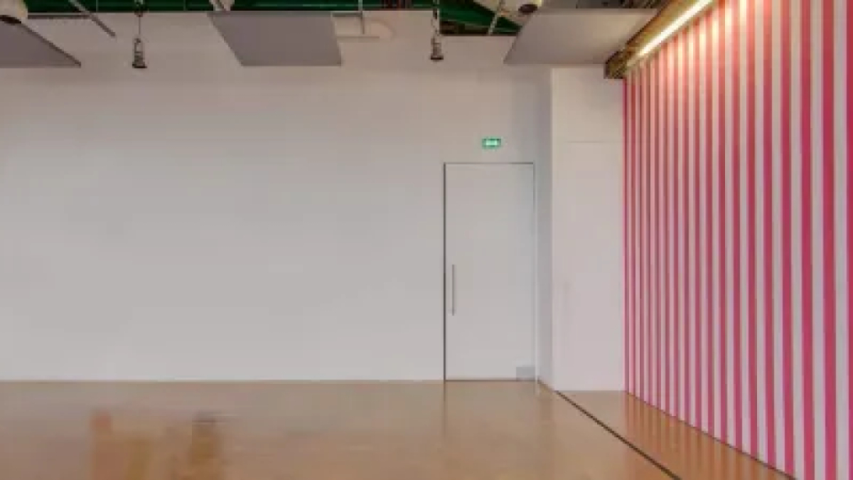 Spectacular Space With a Vast Terrace